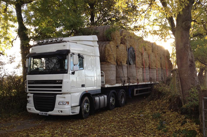 Truck
